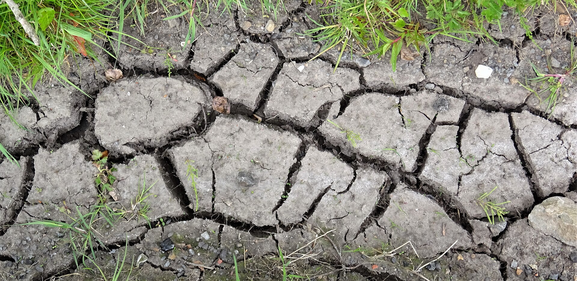 Phosphogypsum for Saline and Alkaline Soils — A Field Guide
